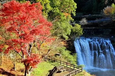 紅葉の季節の龍門の滝